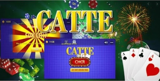 Thuật ngữ cơ bản khi chơi Catte Hi88